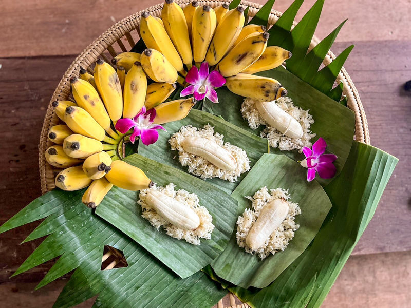 Krabi Roaming Elephant Sanctuary Experience - Who will enjoy this sanctuary most?