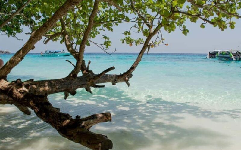 Krabi: Similan Islands Day Trip by Speedboat & Buffet Lunch - The Itinerary Breakdown: What to Expect