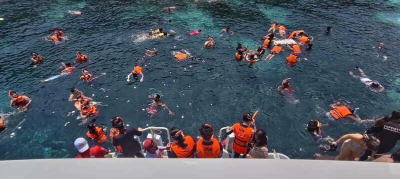 Krabi: Similan Islands Day Trip by Speedboat with Lunch - An In-Depth Look at the Similan Islands Day Trip