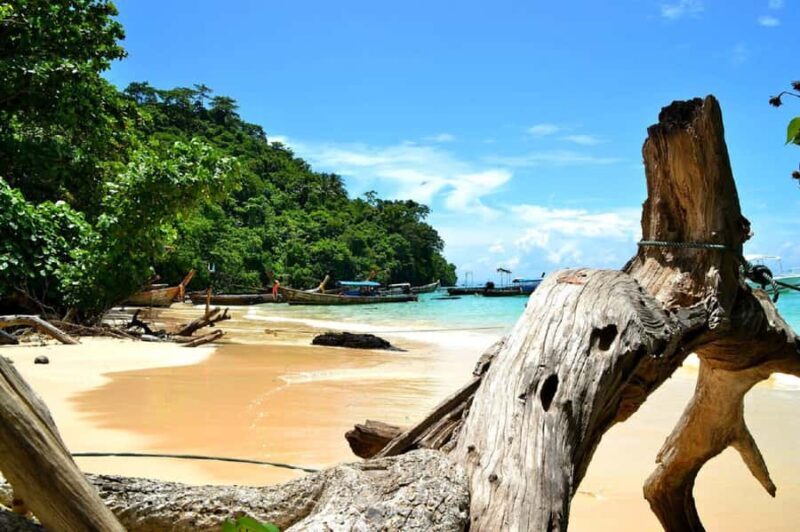 Krabi: Small Group Boat Tour to James Bond & Hong Islands - Good To Know