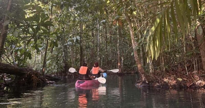 Krabi: Sunset Kayaking through Klong Root - FAQ