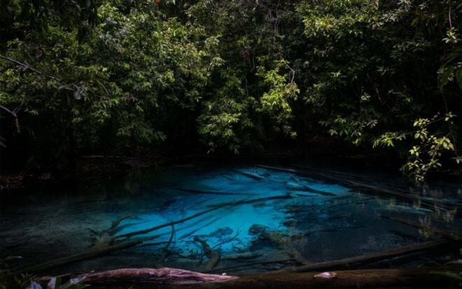 Krabi: Tiger Cave, Hot Springs and Emerald Pool Jungle Tour - Itinerary