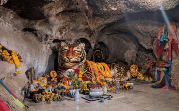 Krabi: Tiger Cave, Hot Springs and Emerald Pool Jungle Tour - Common Questions