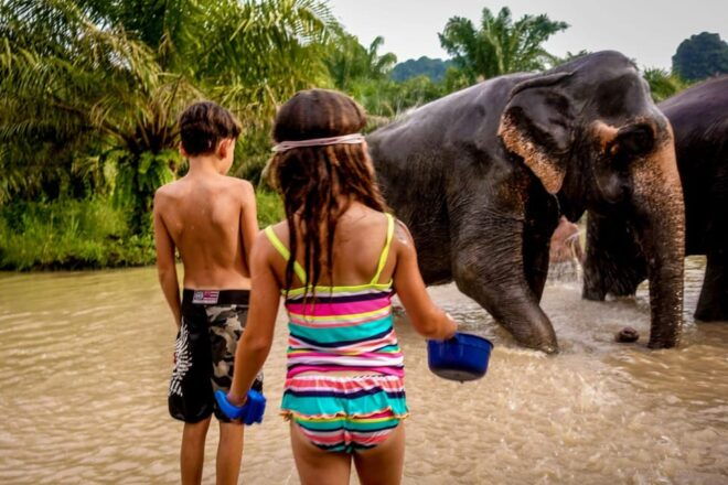Krabi: Tiger Cave Temple and Elephant Sanctuary Visit - Inclusions and Amenities