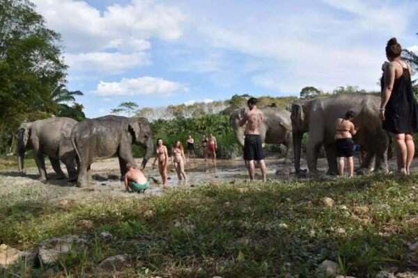 Krabi: Tiger Cave Temple and Elephant Sanctuary Visit - Questions You May Have