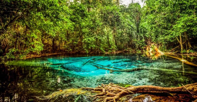 Krabi: Tiger Cave Temple, Emerald Pool and Hot Springs Tour - Itinerary Highlights
