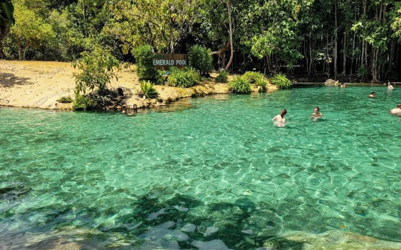 Krabi Tiger Cave Temple & Emerald Pool Full-Day Tour - What the early feedback tells you