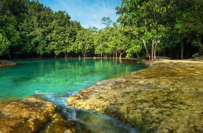 Krabi: Tiger Temple, Hot Springs & Crystal Pool Jungle Tour - Review 2