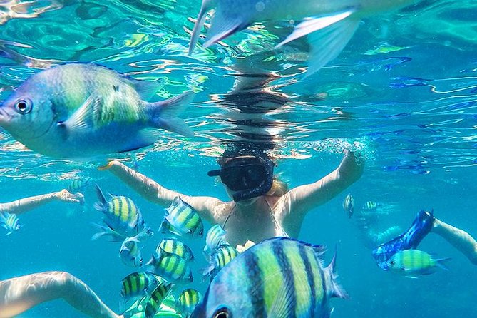 Krabi to Phi Phi Islands by Speedboat - Tour Guide and Staff