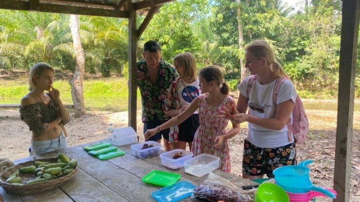 Krabi: Tour of Elephant Care House and Tiger Cave Temple - Activity Details