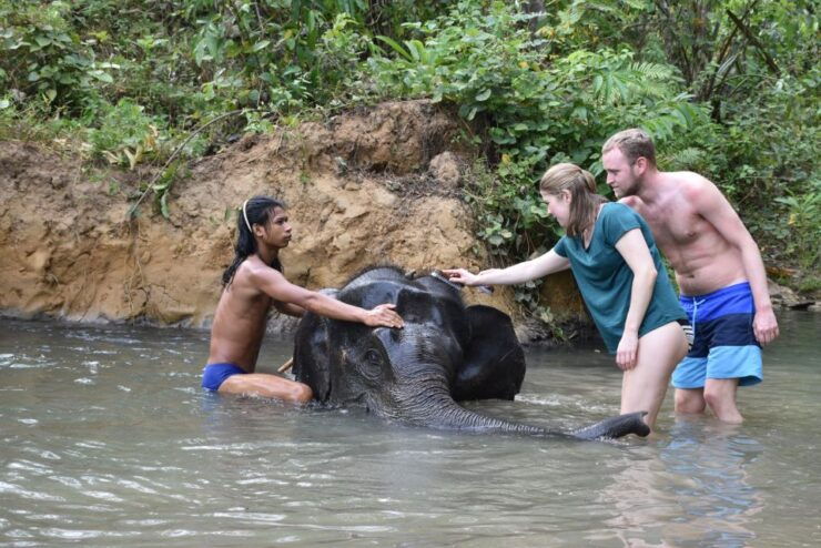 Krabi: Tour of Elephant Care House and Tiger Cave Temple - Elephant Experience