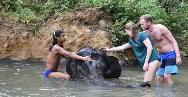 Krabi: Tour of Elephant Care House and Tiger Cave Temple - Tiger Cave Temple