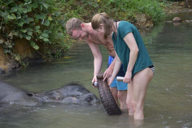Krabi: Tour of Elephant Care House and Tiger Cave Temple - Participant and Date Selection
