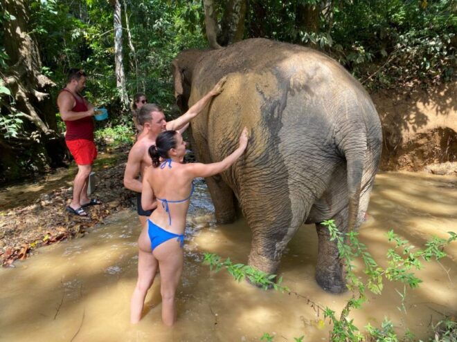 Krabi: Tour of Elephant Care House and Tiger Cave Temple - Review Summary