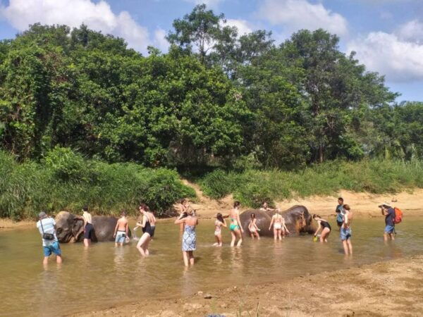 Krabi: Tour of Elephant Care House and Tiger Cave Temple - The Sum Up