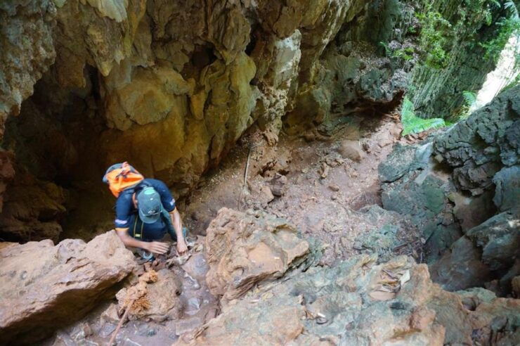 Krabi Town/Ao Nang: Railay Beach Rock Climbing With Lunch - Experience Highlights