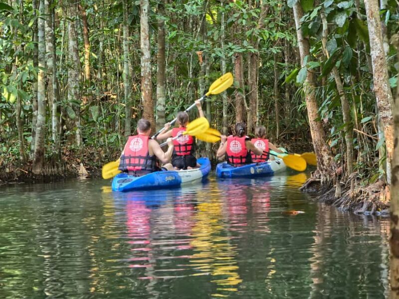 Krabi Trio: Klong Root Paddle, Fish Feeding & Pineapple Farm - Frequently Asked Questions