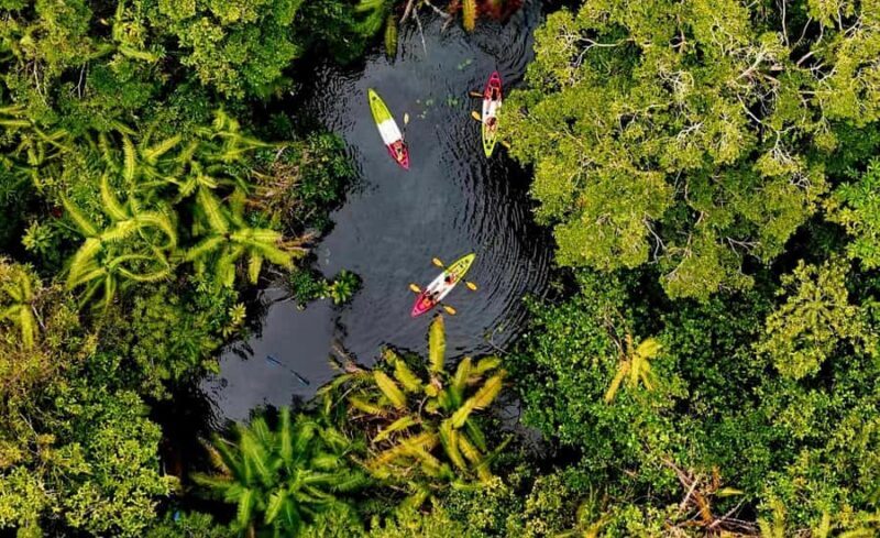 Krabi Trio: Klong Root Paddle, Fish Feeding & Pineapple Farm - What To Bring & Tips