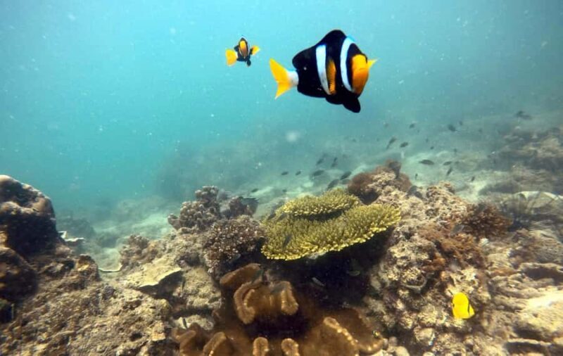 Krabi Tropical Fish Swim & Romantic Sunset Tour - Who Should Consider This Tour?