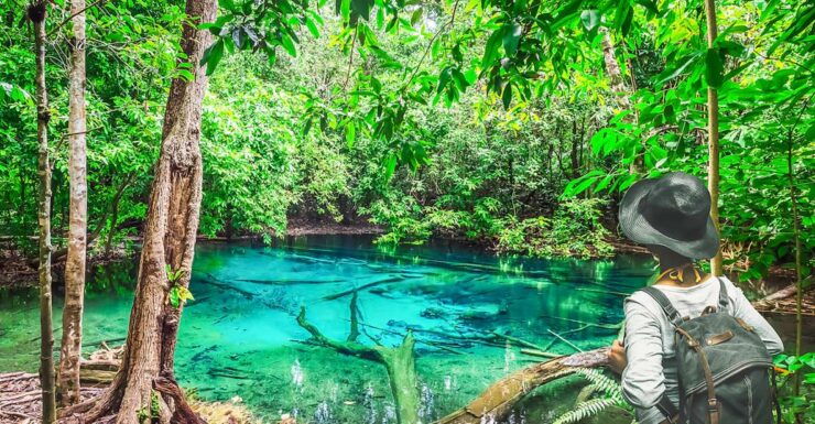 Krabi: White Temple, Emerald Pool & Hot Springs Tour - Tour Highlights