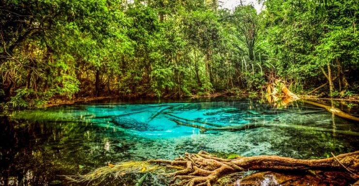 Krabi: White Temple, Emerald Pool & Hot Springs Tour - Tour Experience