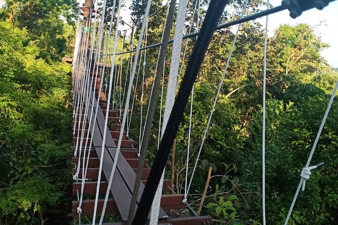 KRABI Zipline & Canopy TreeTop Walk - Common Questions