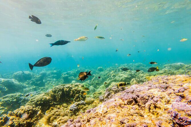 Krabi's Luminous Lagoon and Sunset Islands by Speedboat - Final Thoughts