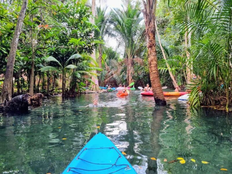 Krabi's Trio: Klong Root Kayak, Pineapple Farm & Local Art - Overview of the Experience  