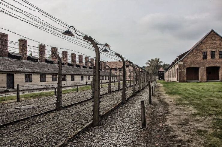 Krakow: 1-Way Bus Transfer To/From Auschwitz-Birkenau - Comfortable Bus Service to Auschwitz
