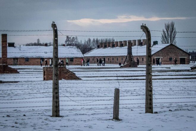 Krakow: 1-Way Bus Transfer To/From Auschwitz-Birkenau - Self-Guided Sightseeing at the Site