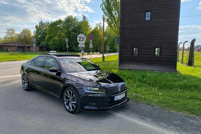 Krakow Airport Transfer to Krakow City - Reviews