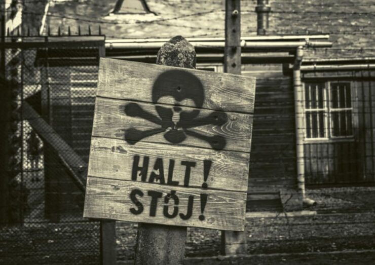 Krakow and Auschwitz Small-Group Tour From Lodz With Lunch - Tour Overview