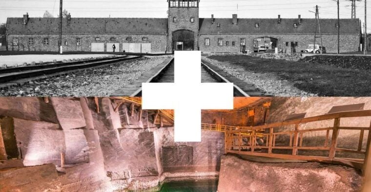 Krakow: Auschwitz-Birkenau and Salt Mine Guided Tour - Who Is This Tour Best For?