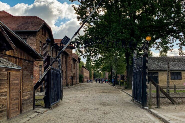 Krakow: Auschwitz-Birkenau and Wieliczka Salt Mine Day Trip - Experience Highlights