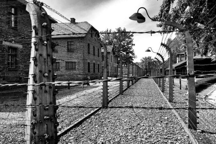 Kraków: Auschwitz-Birkenau and Wieliczka Salt Mine Day Trip - Tour Details