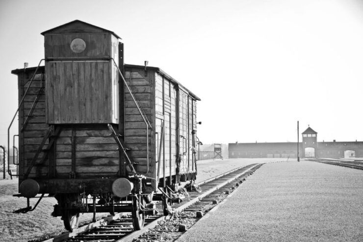 Kraków: Auschwitz-Birkenau and Wieliczka Salt Mine Day Trip - Experience Highlights