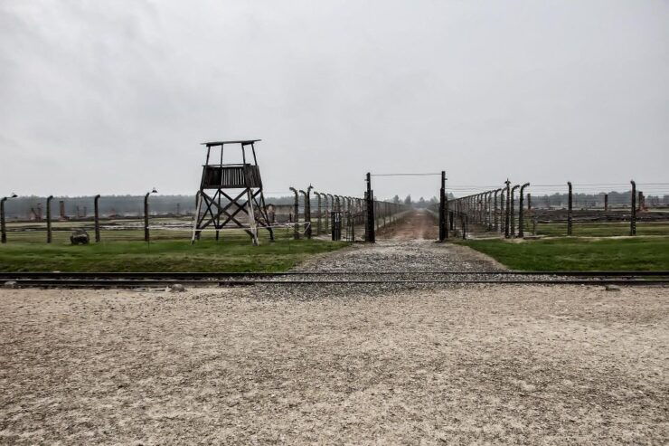 Kraków: Auschwitz-Birkenau and Wieliczka Salt Mine Day Trip - Key Points