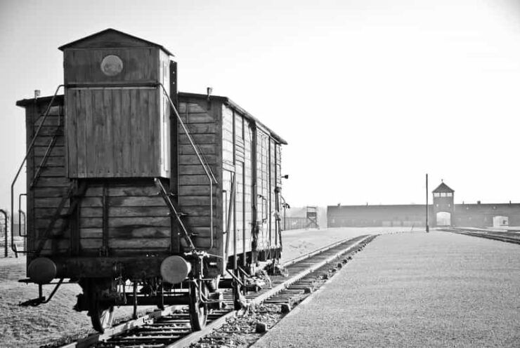 Kraków: Auschwitz-Birkenau and Wieliczka Salt Mine Day Trip - Itinerary Details