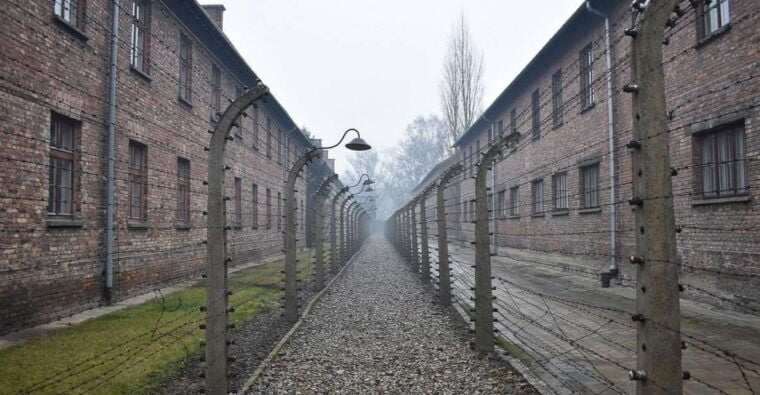 Krakow: Auschwitz-Birkenau Day Trip with Tour Leader - Authentic Experiences & Reviewer Insights