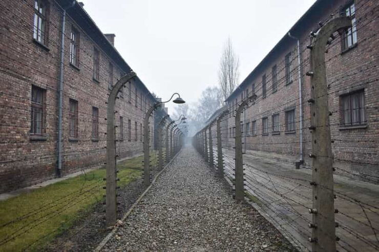 Krakow: Auschwitz-Birkenau Day Trip With Tour Leader - Key Points
