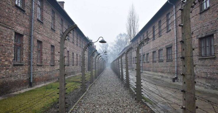 Krakow: Auschwitz-Birkenau Day Trip With Tour Leader - Trip Duration and Pricing