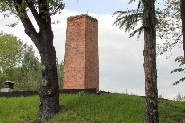 Krakow: Auschwitz-Birkenau Day Trip With Tour Leader - Booking and Reservation Details