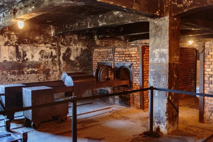 Krakow: Auschwitz-Birkenau Entry Ticket and Transfer - Key Points