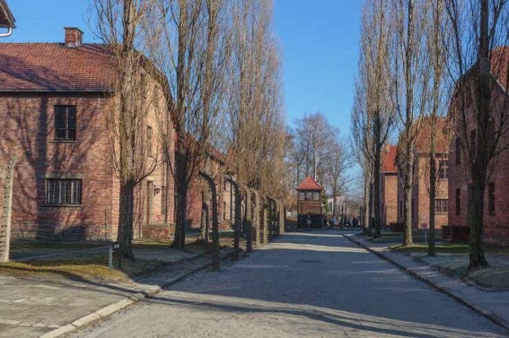 Krakow: Auschwitz-Birkenau Entry Ticket and Transfer - Pricing