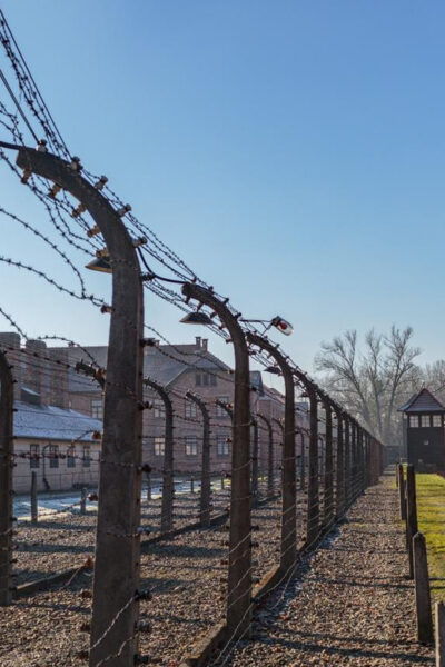Krakow: Auschwitz-Birkenau Entry Ticket and Transfer - Booking and Cancellation