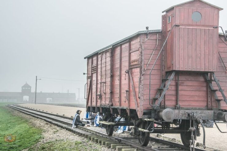 Krakow: Auschwitz-Birkenau Extended Guided Tour & Options - Key Points