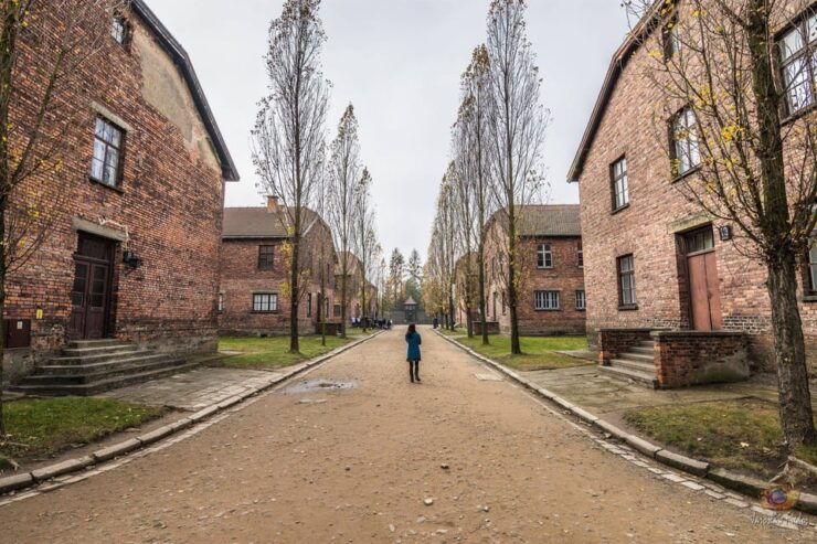 Krakow: Auschwitz-Birkenau Extended Guided Tour & Options - Activity Highlights