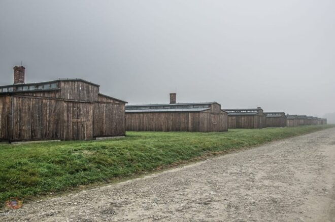 Krakow: Auschwitz-Birkenau Extended Guided Tour & Options - Inclusions and Pricing