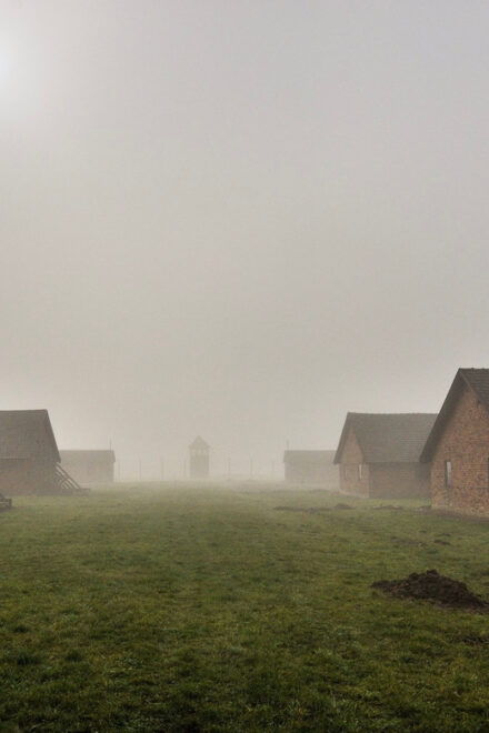 Krakow: Auschwitz-Birkenau Extended Guided Tour & Options - Pickup and Lunch Options