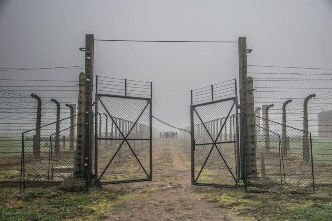 Krakow: Auschwitz-Birkenau Extended Guided Tour & Options - Important Tour Details
